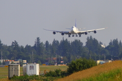 747-8F (PANALPINA Freighter)