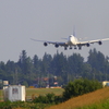 747-8F (PANALPINA Freighter)