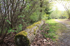 Everett森林公園