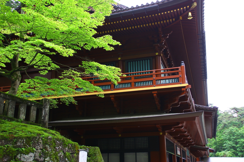 日光