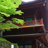 日光