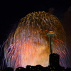 4th of July 2012 Seattle 005