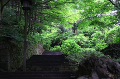 日光