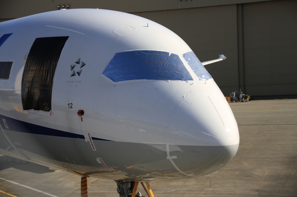 Boeing 787 @ Paine Field