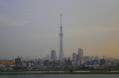 高速バスからのスカイツリー