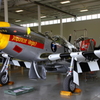 P51-B Mustang