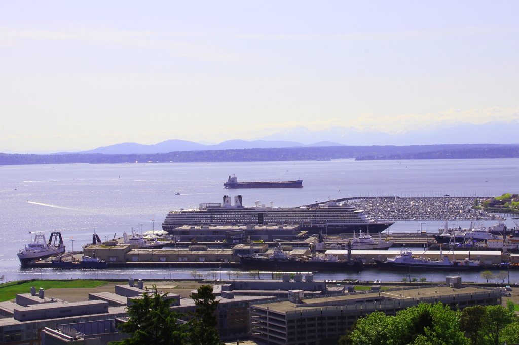 Pier91の豪華クルーズ客船