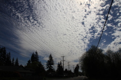 Everett　アパートからの景色
