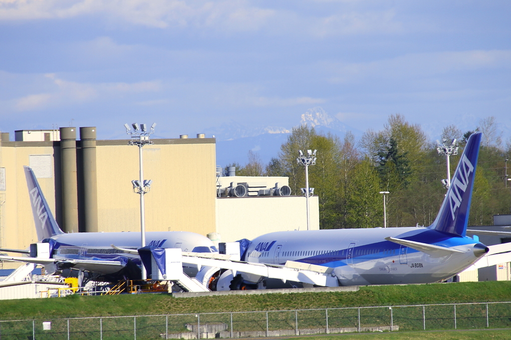 787-8s for ANA