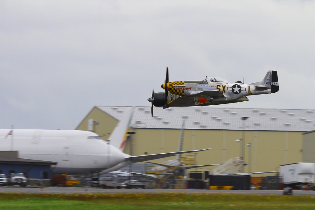 Zero vs P-51 Mustang 04