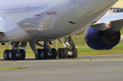 747-8F (PANALPINA Freighter)
