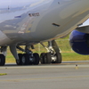747-8F (PANALPINA Freighter)