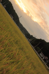 田園２