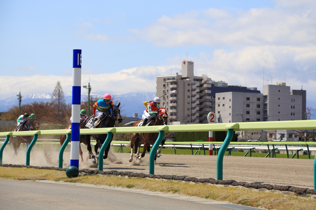 ダートレース