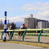 ダートレース