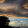 夕景