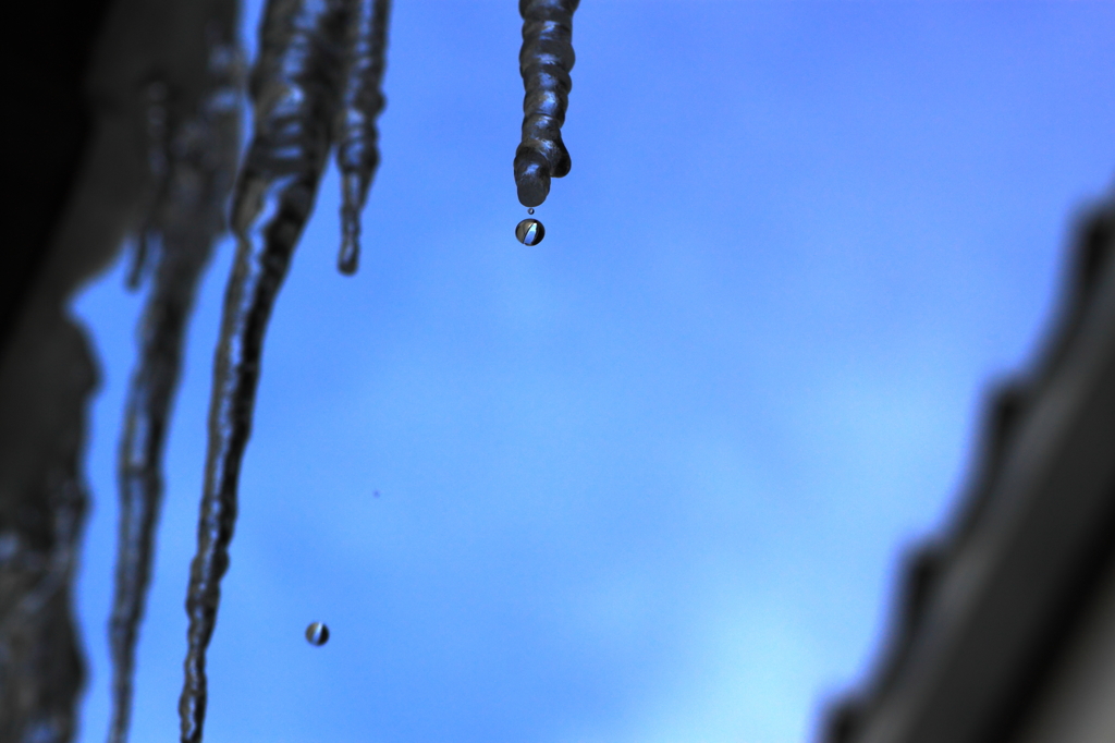 氷柱の雫
