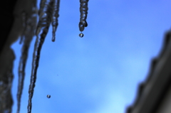 氷柱の雫
