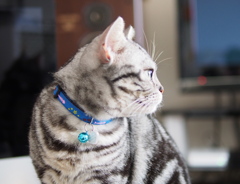 何考えてるのかな？