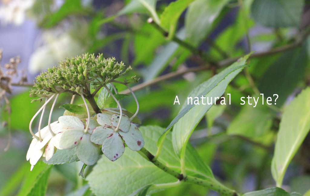 A natural style ？