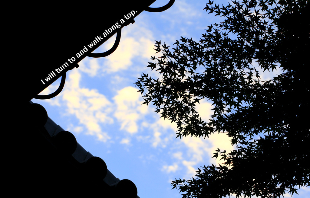 I will turn to and walk along a top.
