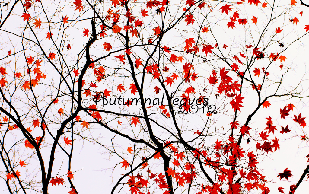 紅葉１２