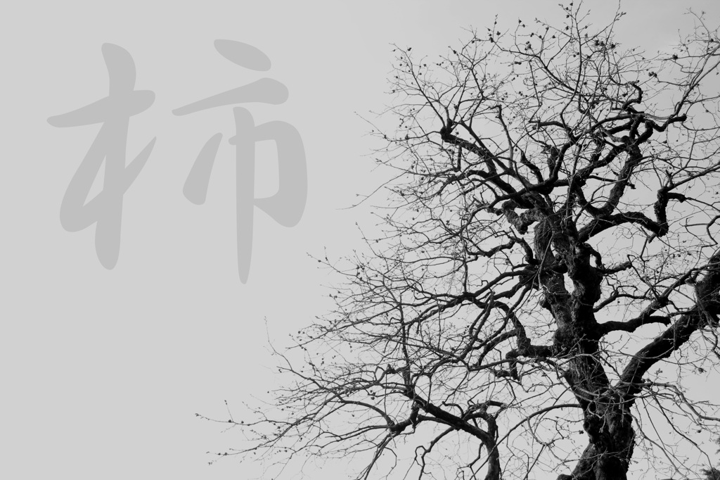 柿