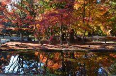 曽木公園の紅葉