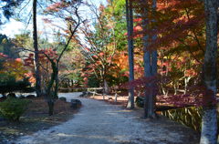 曽木公園の紅葉