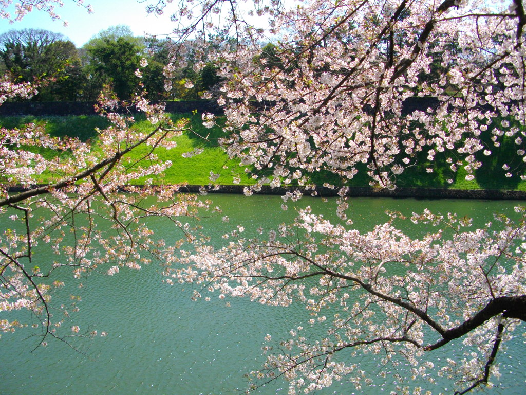 東京散策