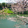 東京散策
