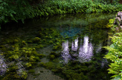 白川水源