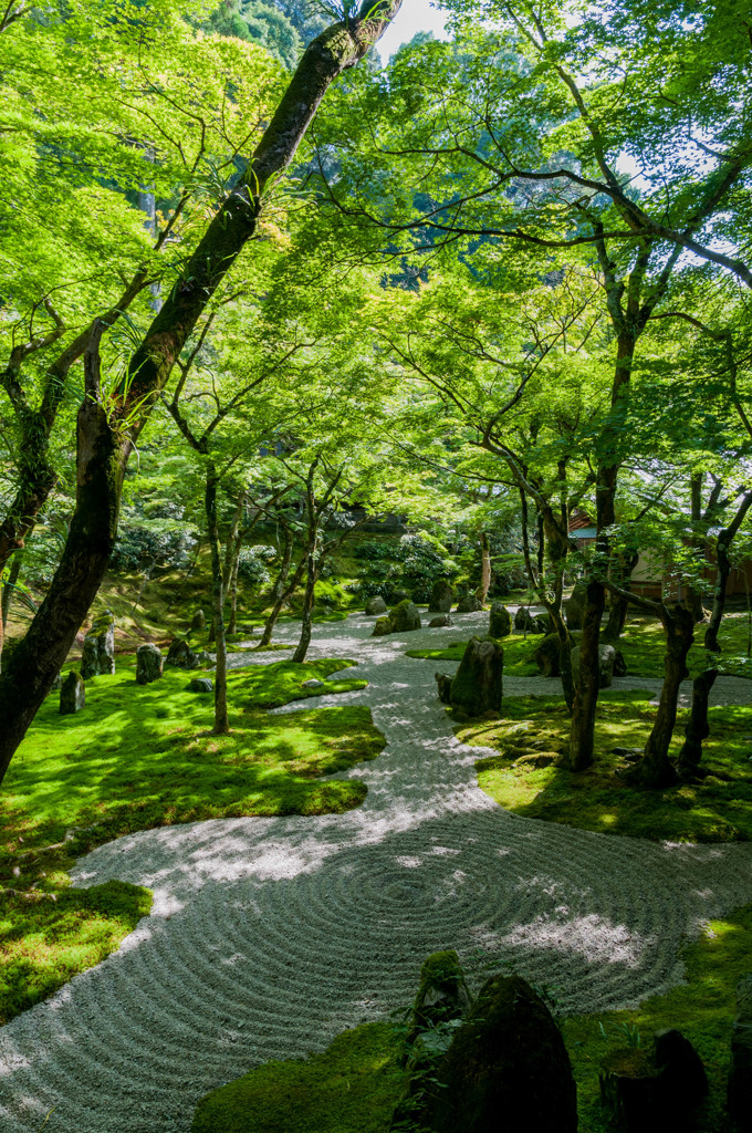 光明禅寺