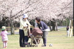 ほほえみ