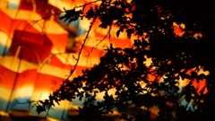 想いを込めて。