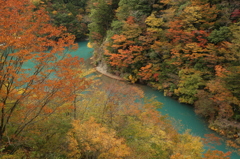 紅葉