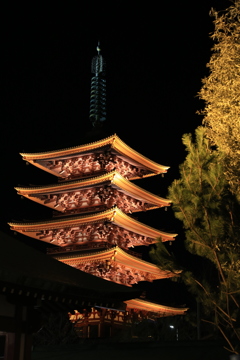 浅草寺のライトアップ1
