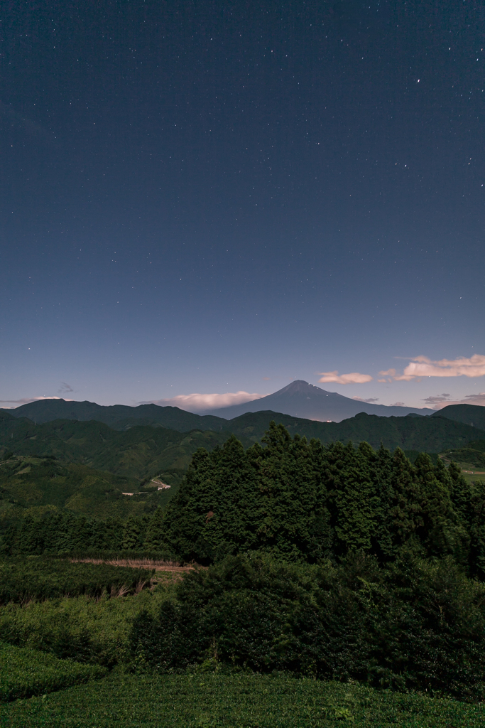 夜月の景