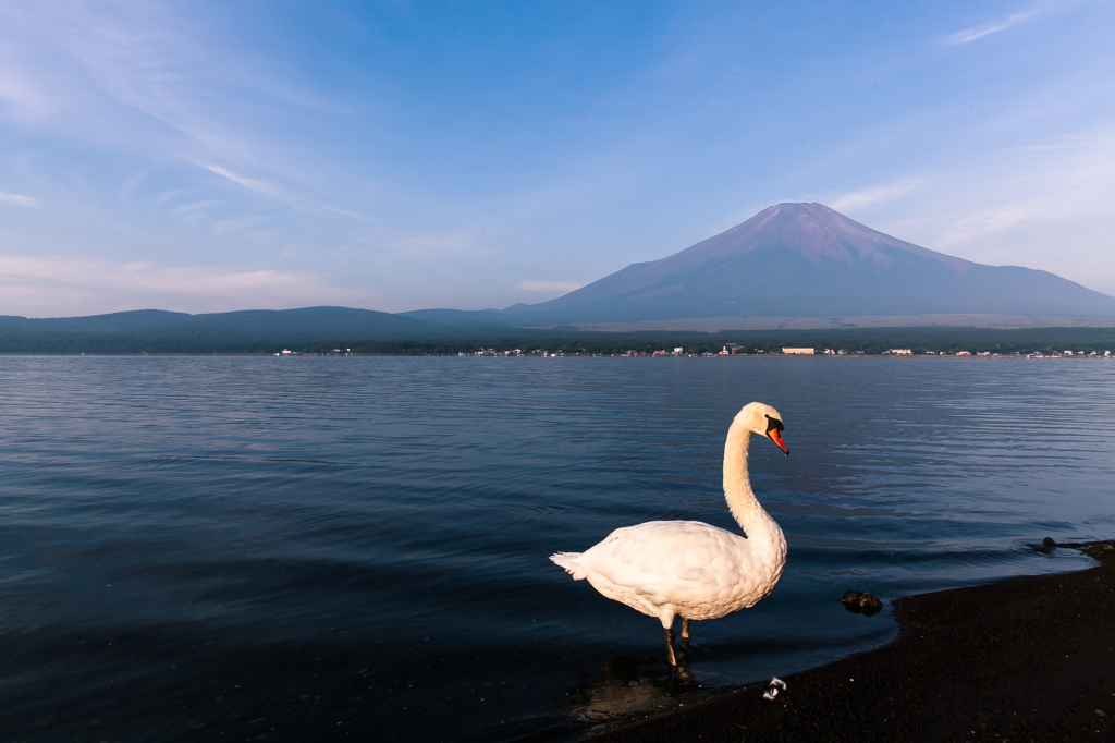 ようこそ！山中湖へ（*^_^*）