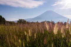 薫る秋風と富士