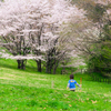 桜の見える丘