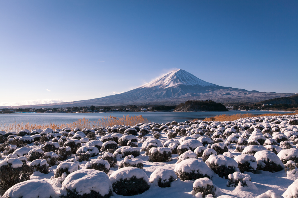 雪景色