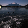氷の冬景色