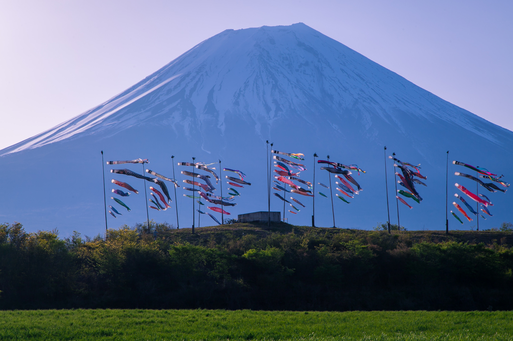 富士山と共に