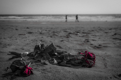 砂と薔薇