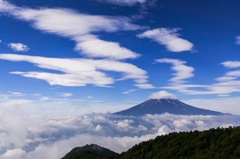 夏の空