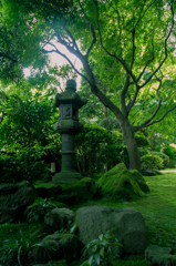 禅