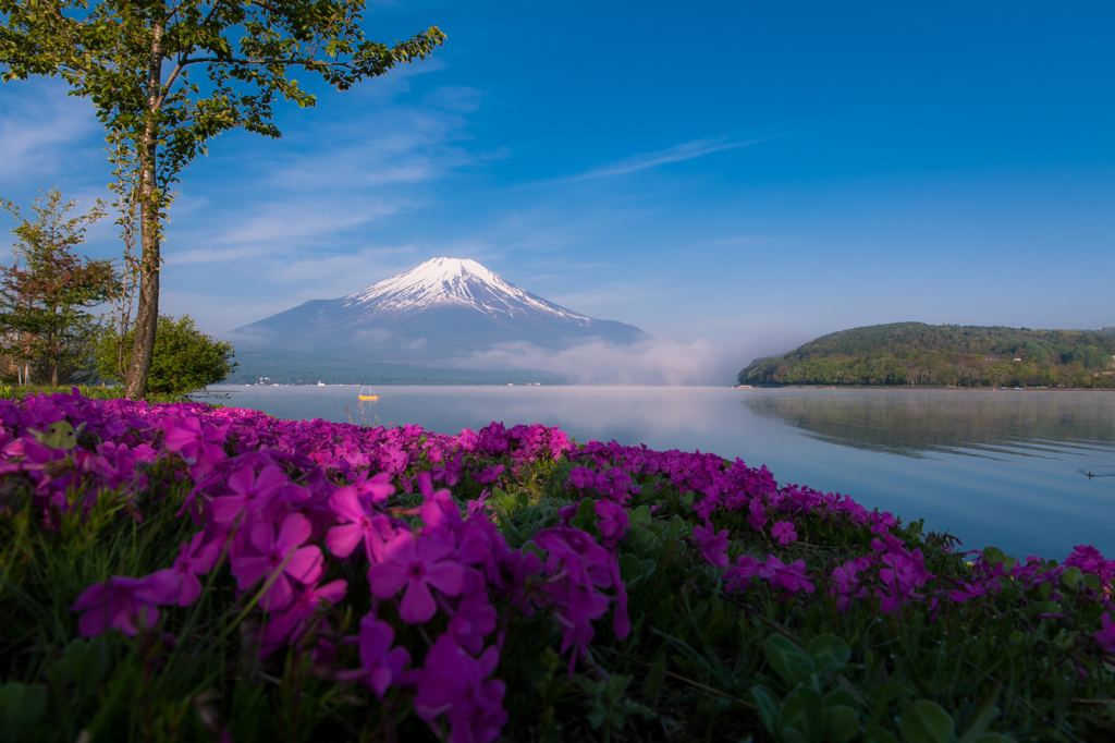 湖畔の朝