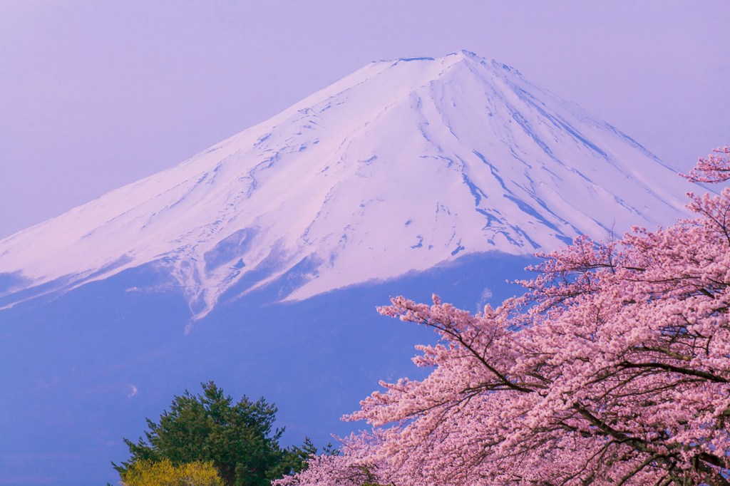 春日和に