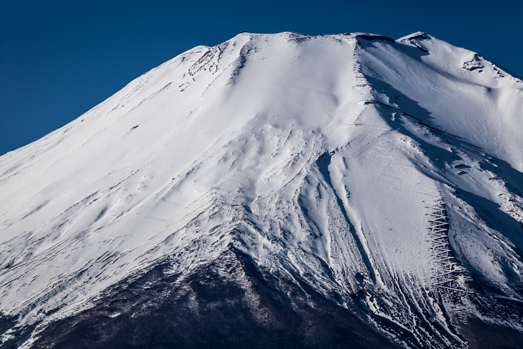 冠雪